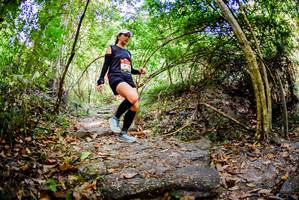 BIB: 
                            <button type="button" onclick="openModal(7048340)" class="btn btn-primary btn-sm float-right btn-popup" data-toggle="modal" data-target=".modal-high-quality">
                        <i class="fas fa-shopping-cart"></i> Add to Cart
                    </button>
                                            <button type="button" onclick="isThisMe(7048340, true)" class="btn btn-success btn-sm float-right btn-popup btn-isme hidden" data-toggle="tooltip" data-placement="bottom" title="นี่คือรูปของคุณใช่ไหม คลิกที่นี่เพื่อเอาเข้าอัลบั้ม">
                        <i class="fas fa-plus"></i> Add to album
                    </button>
                    <button type="button" onclick="isThisMe(7048340, false)" class="btn btn-warning btn-sm float-right btn-popup btn-isnotme hidden">
                        <i class="fas fa-ban"></i> Remove from album
                    </button>